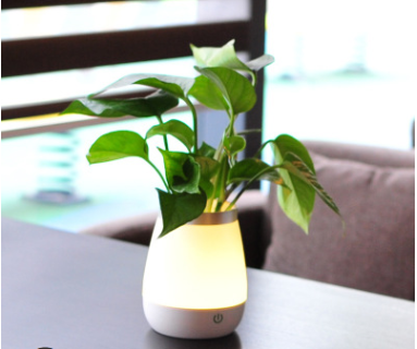 Vase Night Light