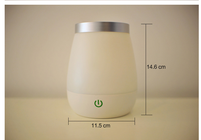 Vase Night Light