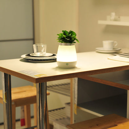 Vase Night Light