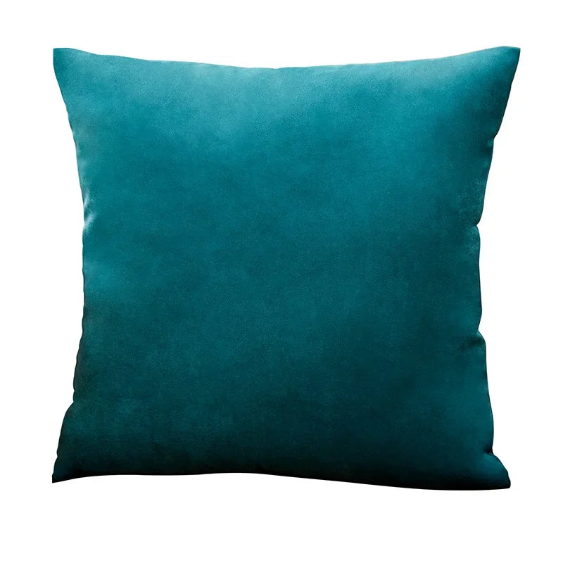 Velvet Cushion Cover with multiple color options.