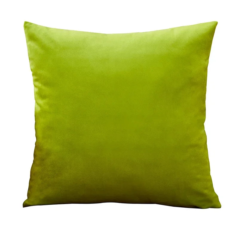 Velvet Cushion Cover with multiple color options.