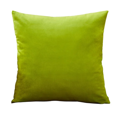 Velvet Cushion Cover with multiple color options.