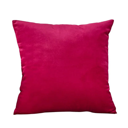 Velvet Cushion Cover with multiple color options.