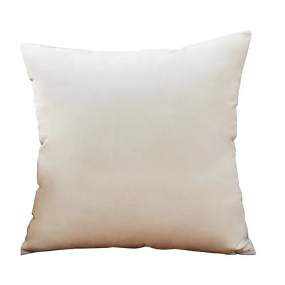 Velvet Cushion Cover with multiple color options.