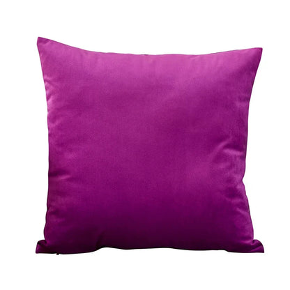 Velvet Cushion Cover with multiple color options.