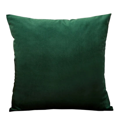 Velvet Cushion Cover with multiple color options.