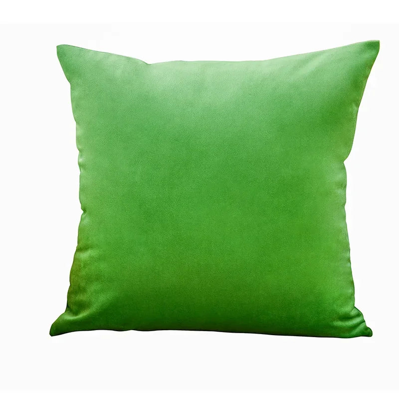 Velvet Cushion Cover with multiple color options.